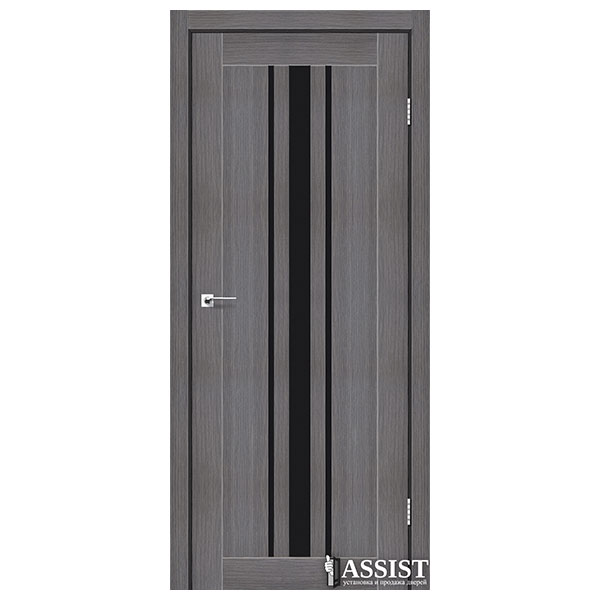 Міжкімнатні двері Stil Doors Arizona сатин або чорне скло (дрім вуд)